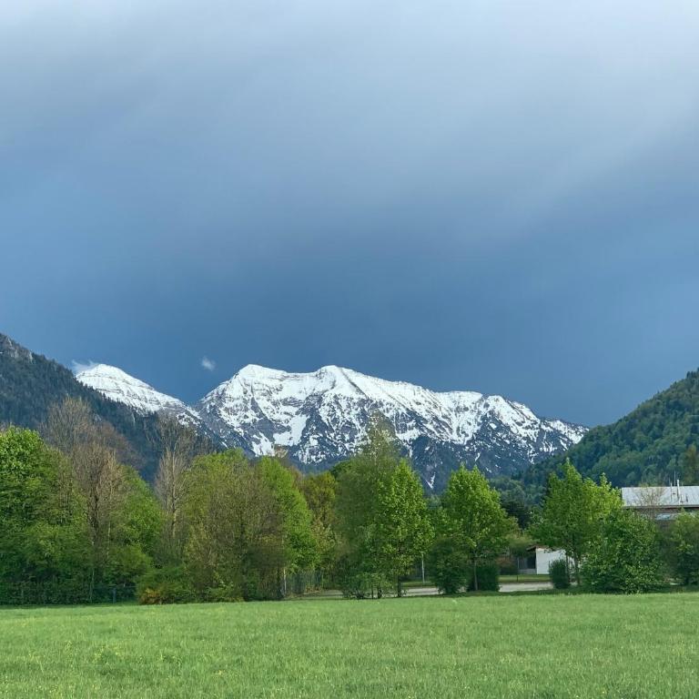 Gästehaus Wolfgang Mittersee - Studio mit Bergblick - 9