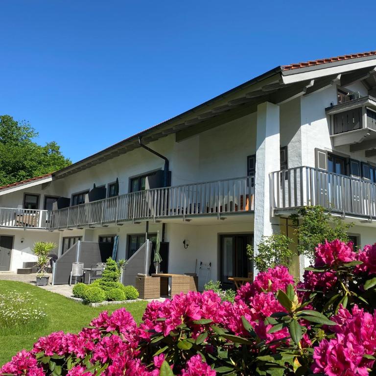 Gästehaus Wolfgang Mittersee - Studio mit Bergblick - 7