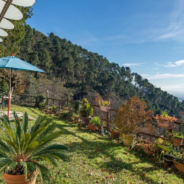 Seaview house dal Colle di Ripa - Appartamento Superior con Vista Città - 18