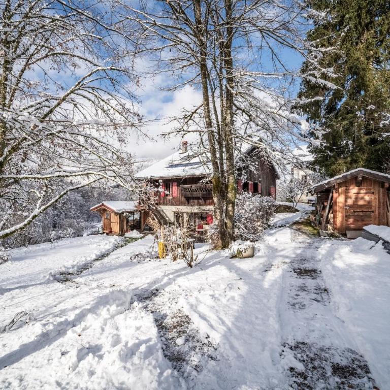 La Mutelline - Les Carroz - Appartamento Deluxe con 2 Camere da Letto e Balcone - 20