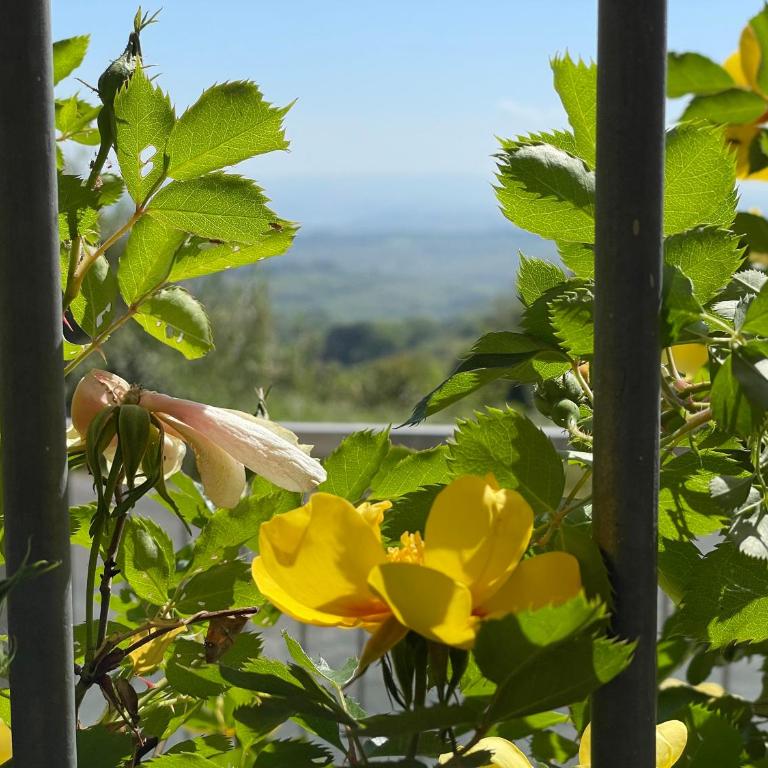 Casa Le Campane sulla Via Francigena - Appartamento con 1 Camera da Letto e Terrazza - 2