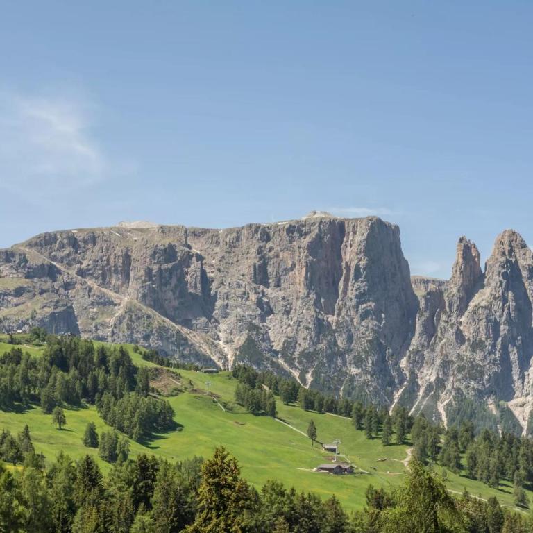Sabina Dolomites Spitzbühl - Appartamento Superior con 1 Camera da Letto e Balcone - 26