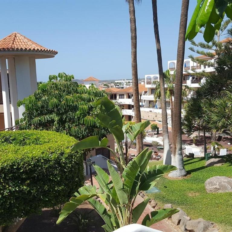 Great apartment in Golf Del Sur - Estudio con terraza - 16