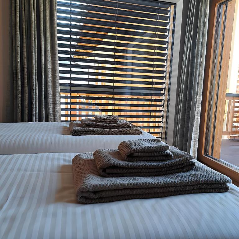 Arctik Chalet Livigno - Appartamento Deluxe con 2 Camere da Letto e Vista Giardino - 23