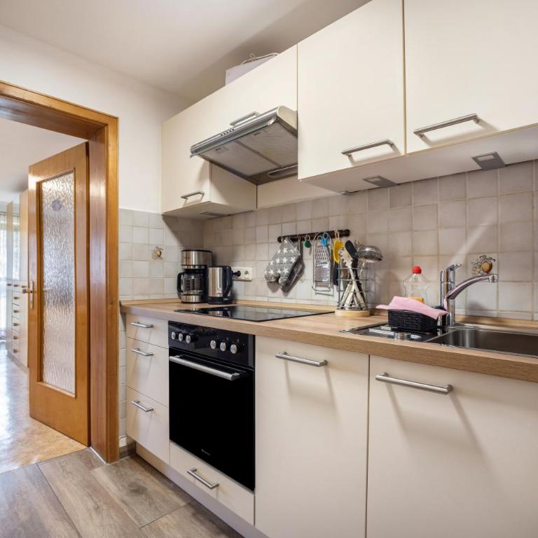Beim Blitz - Apartamento de 1 dormitorio con vistas al jardín - 8