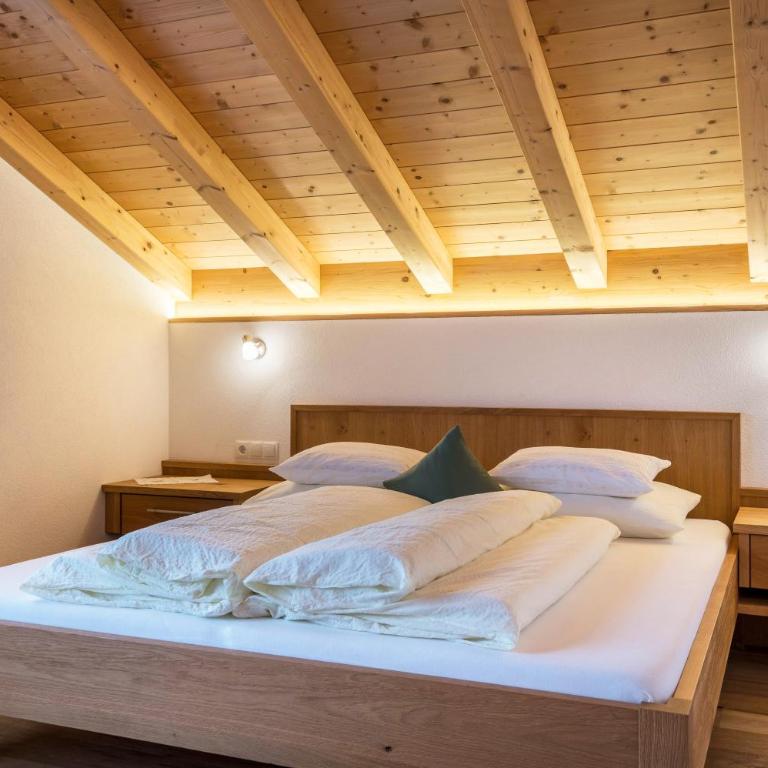 Feldererhof GsiesApt Dolomitenblick - Appartamento Deluxe con 2 Camere da Letto e Vista Giardino - 12