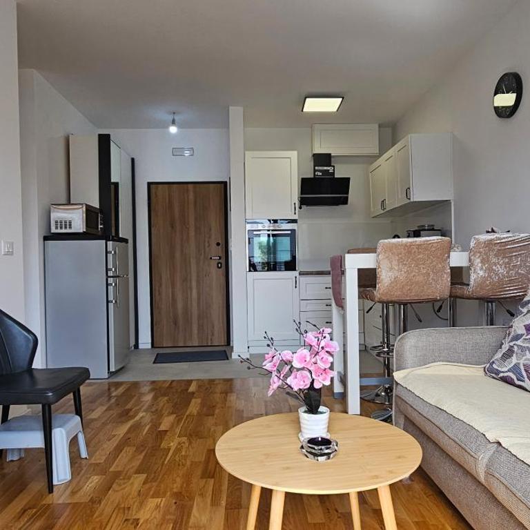 Bulevar Teuta Residences - Deluxe One-Bedroom Apartment - 29