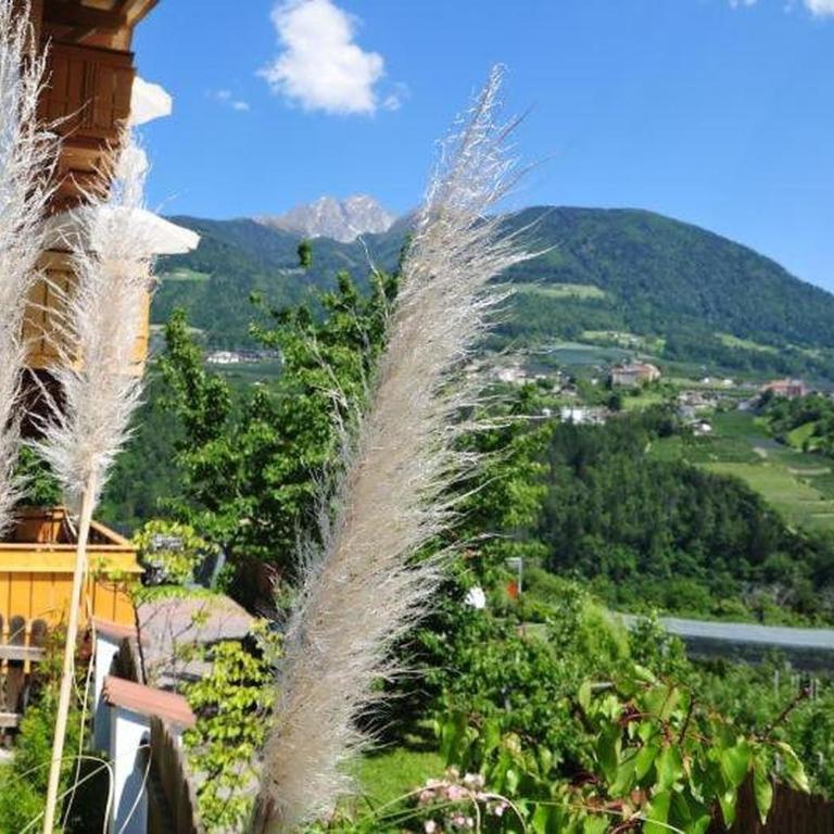 Feldhof Apartment Golden Delicious - Superior One-Bedroom Apartment with Balcony - 27