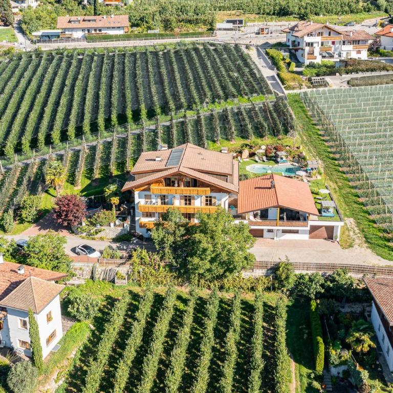 Feldhof Apartment Golden Delicious - Superior One-Bedroom Apartment with Balcony - 26