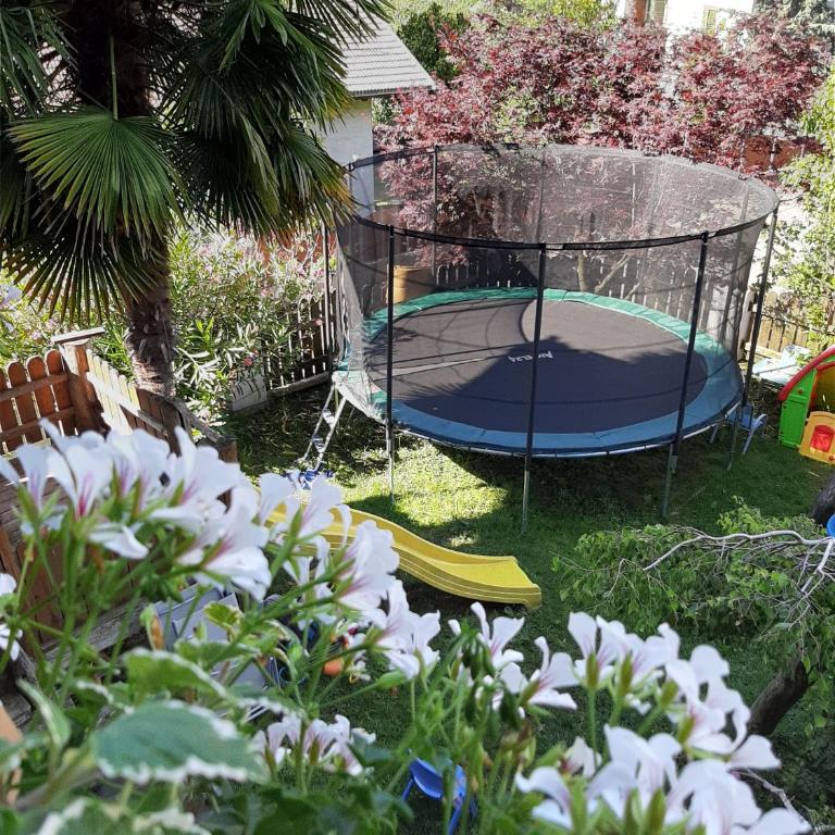Feldhof Apartment Golden Delicious - Superior One-Bedroom Apartment with Balcony - 28