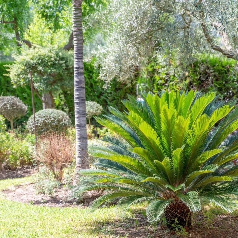 Villa la Rafal - Villa con vistas al jardín - 24