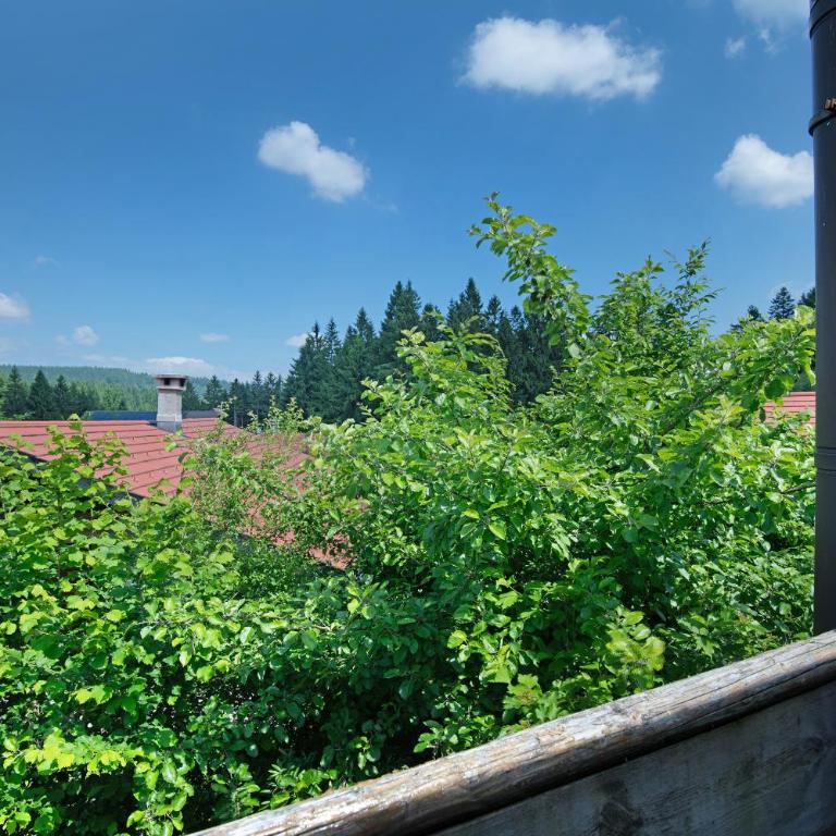 Tiny Hideaway Bayerischer Wald - Chalet mit 1 Schlafzimmer - 14