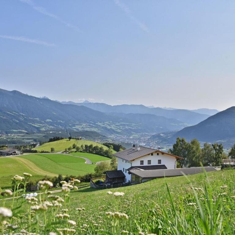 Apartment Pustertal - Appartamento con 2 Camere da Letto e con Vista Montagna - 16