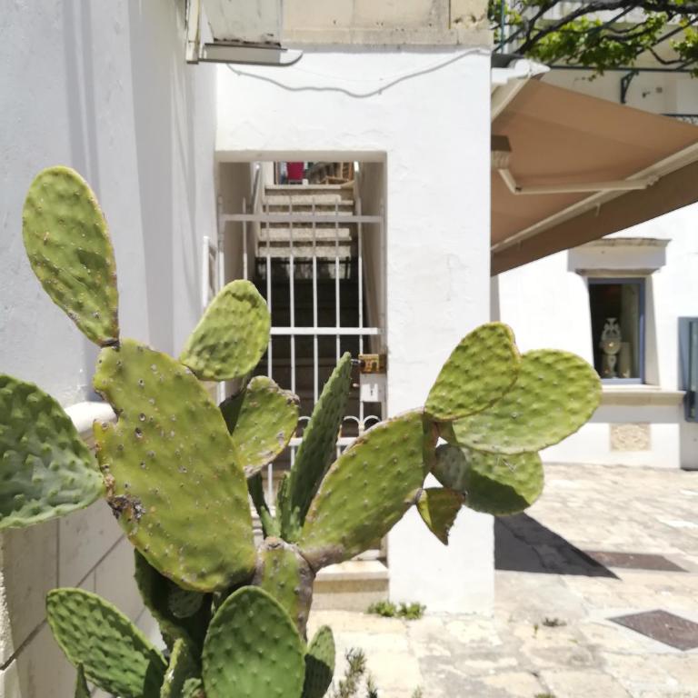 Vista Castello - Otranto - Superior One-Bedroom Apartment with Balcony - 31