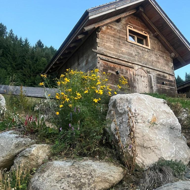 Mazot de la Pointe Percée - Chalet 1 Chambre - 2