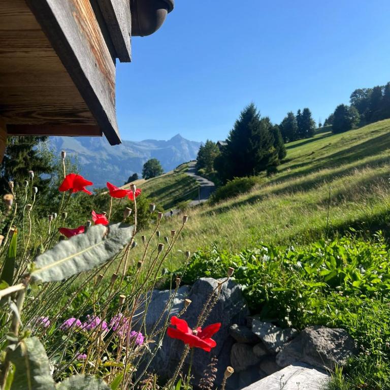 Mazot de la Pointe Percée - Chalet 1 Chambre - 10