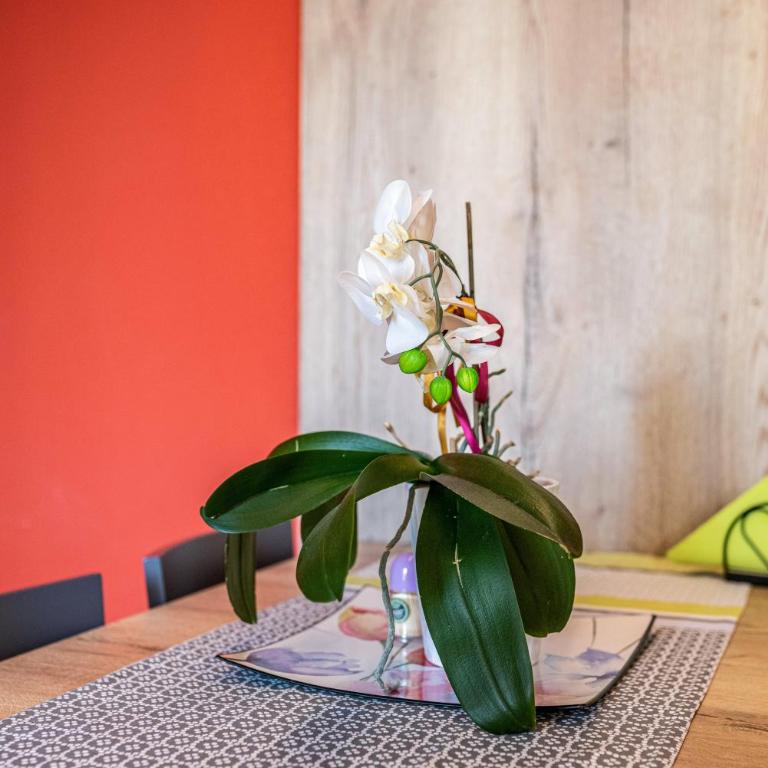 L'antica corte apt Angelina - Deluxe-Apartment mit 2 Schlafzimmern und Gartenblick - 15