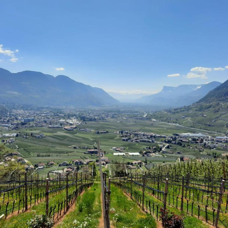 Unterötzbauerhof - Fewo Weinberg - Deluxe-Apartment mit 2 Schlafzimmern und Gartenblick - 14