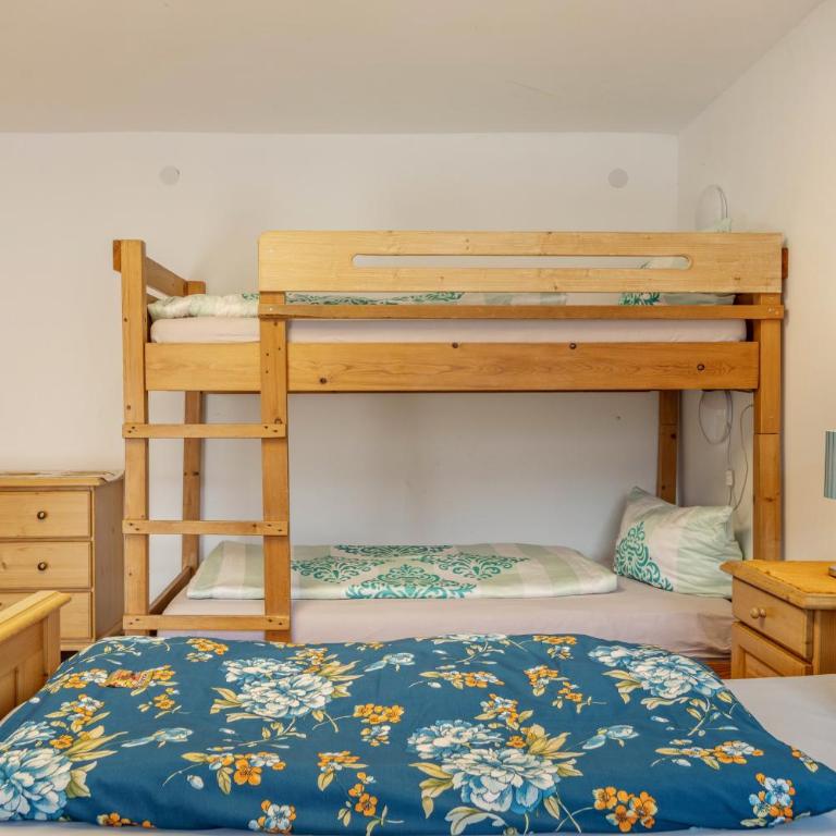 Beim Blitz - Apartamento Deluxe de 2 dormitorios con vistas al jardín - 13