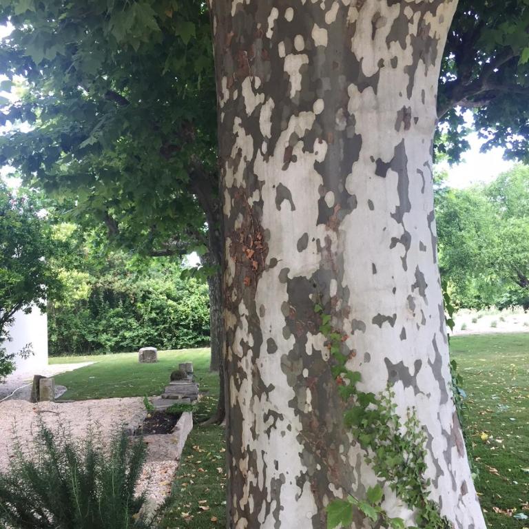 Studio charmant avec jardin - Studio avec Vue sur Jardin - 13