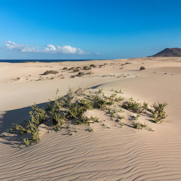 Casa Trisca Corralejo 2Bedroom - Apartamento Deluxe de 2 dormitorios con vistas al mar - 28