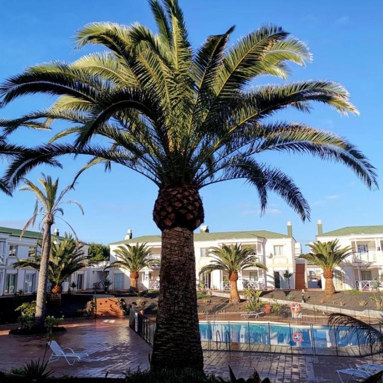 Piccola Oasi Corralejo - Apartamento Deluxe de 2 dormitorios con vistas al jardín - 37
