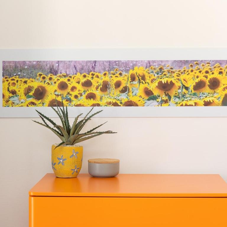 The Sunflower House - Appartamento con doccia - 30