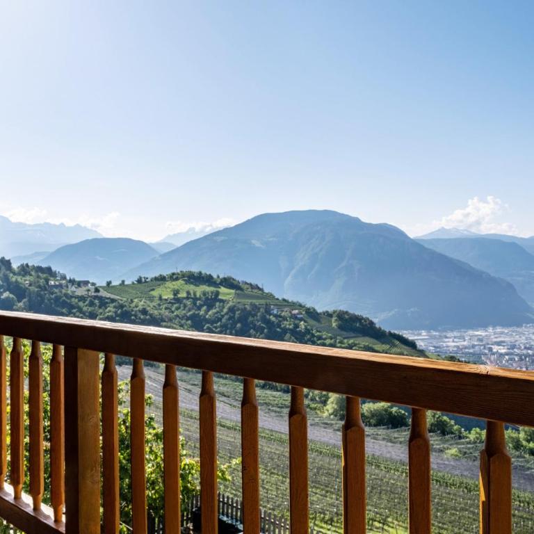 Weingartnerhof Calendula - Superior One-Bedroom Apartment with Balcony - 1