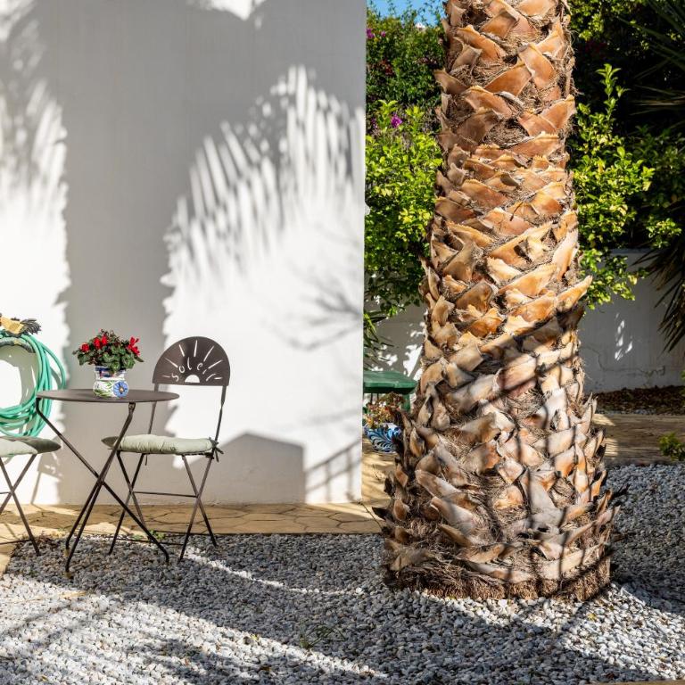 Casa Palmera - Casa de 2 dormitorios - 22