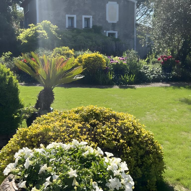 Gîte De Charme au Pied du Ventoux - Appartement 1 Chambre - Vue sur Jardin - 14