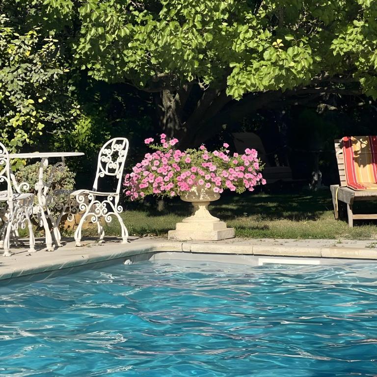 Gîte De Charme au Pied du Ventoux - Appartement 1 Chambre - Vue sur Jardin - 29