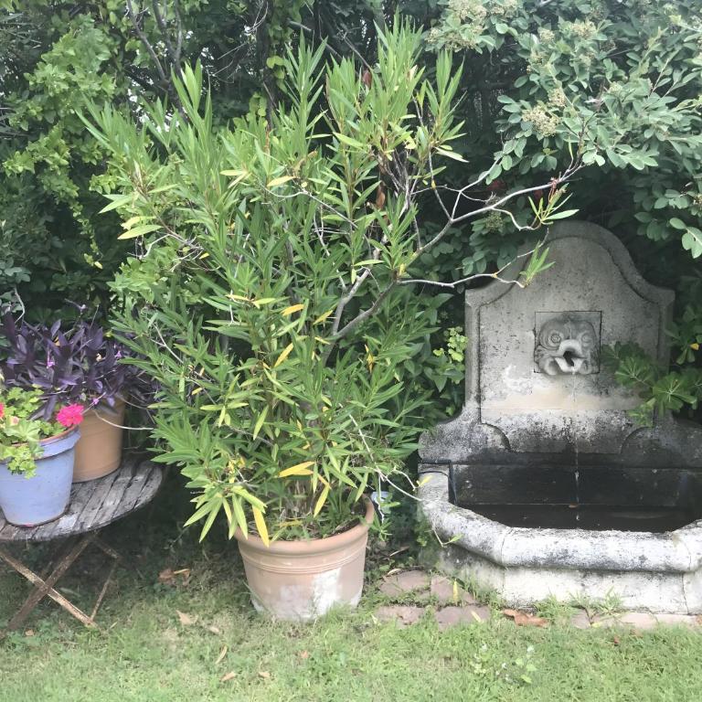 Gîte De Charme au Pied du Ventoux - Appartement 1 Chambre - Vue sur Jardin - 22