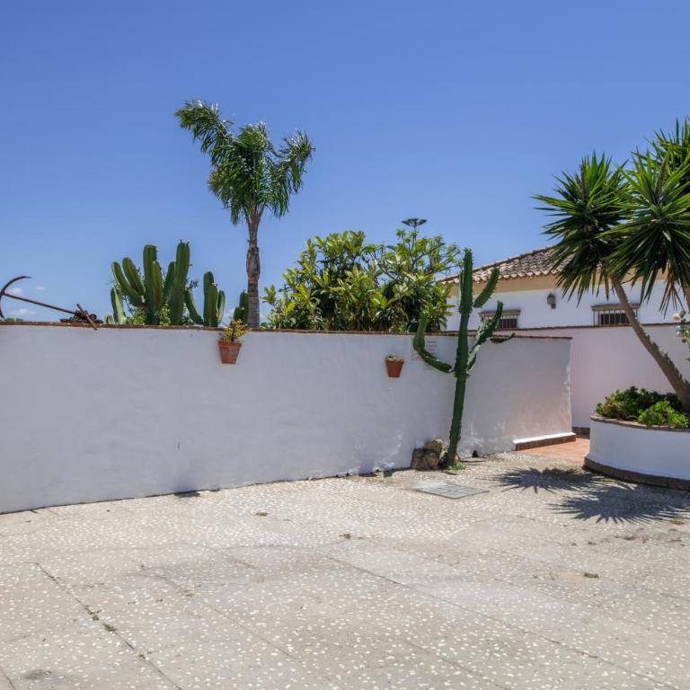 Apartamento Mayo 2 - Apartamento con terraza - 29