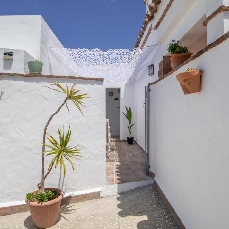 Apartamento Mayo 2 - Apartamento con terraza - 21