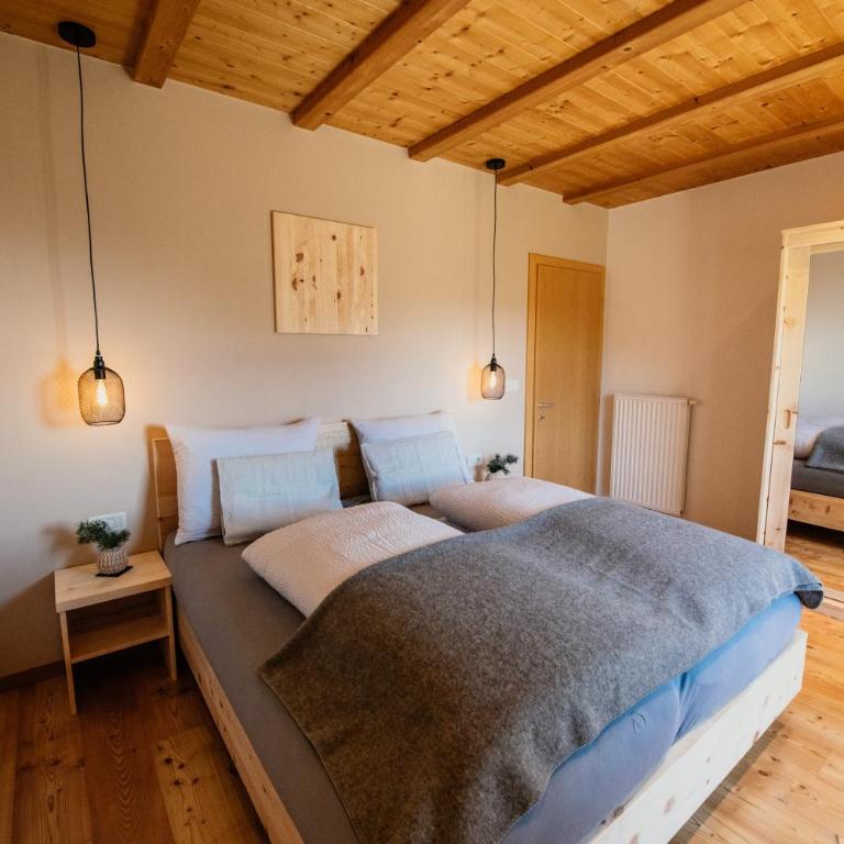 Apartment Judith - Gallhof - Superior Apartment with Sauna - 5