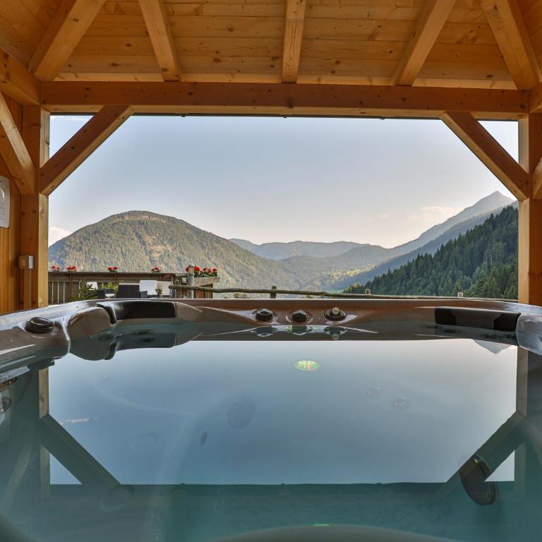 Apartment Judith - Gallhof - Superior Apartment with Sauna - 18