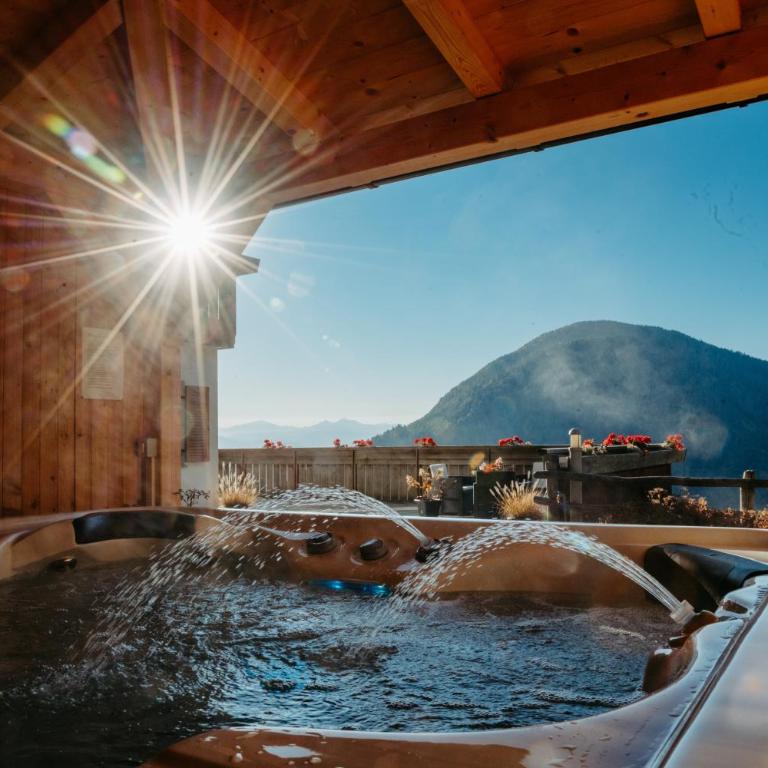 Apartment Judith - Gallhof - Superior Apartment with Sauna - 19