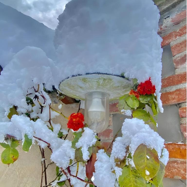 Alpi Liguri - Villa Giulia - Maison 3 Chambres - 39