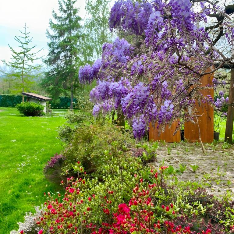 Alpi Liguri - Villa Giulia - Maison 3 Chambres - 4