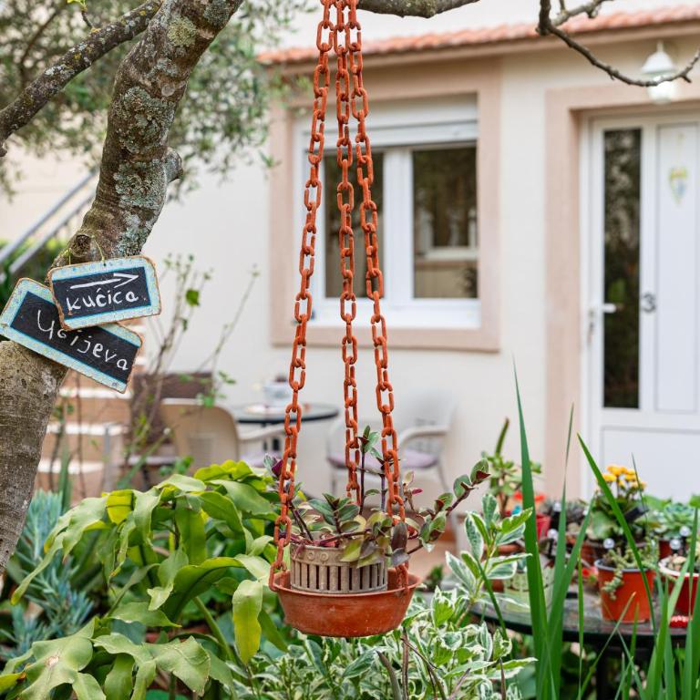 Apartments Gabi&Zdenka Tivat - Studio with Garden View - 10