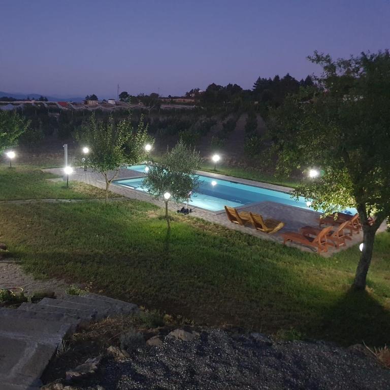 Domus Nirale - Villa con Vista Giardino - 7
