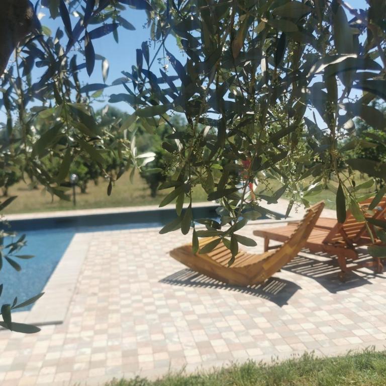 Domus Nirale - Villa con Vista Giardino - 3