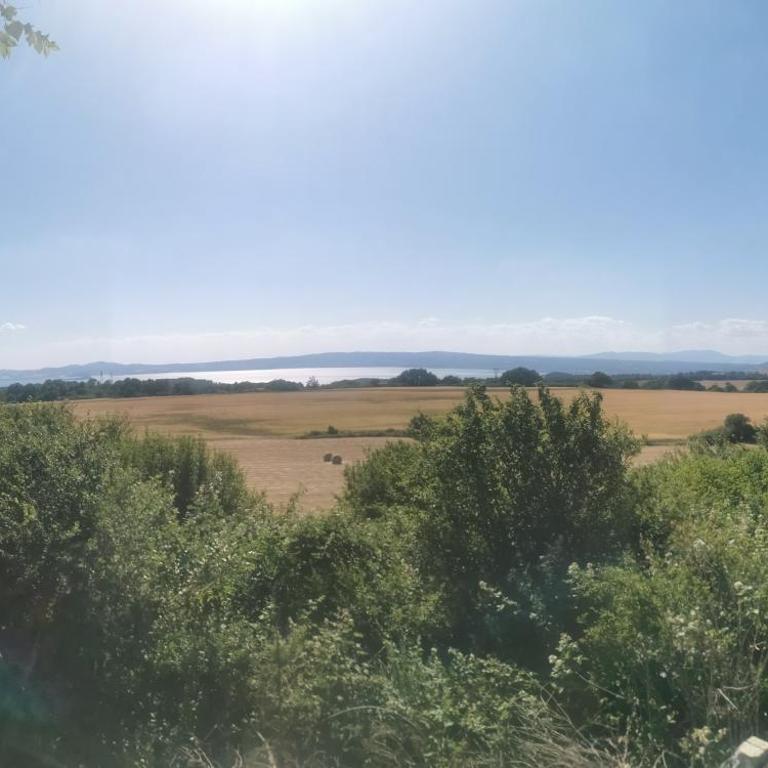 Domus Nirale - Villa con Vista Giardino - 12