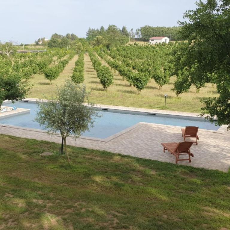 Domus Nirale - Villa con Vista Giardino - 1