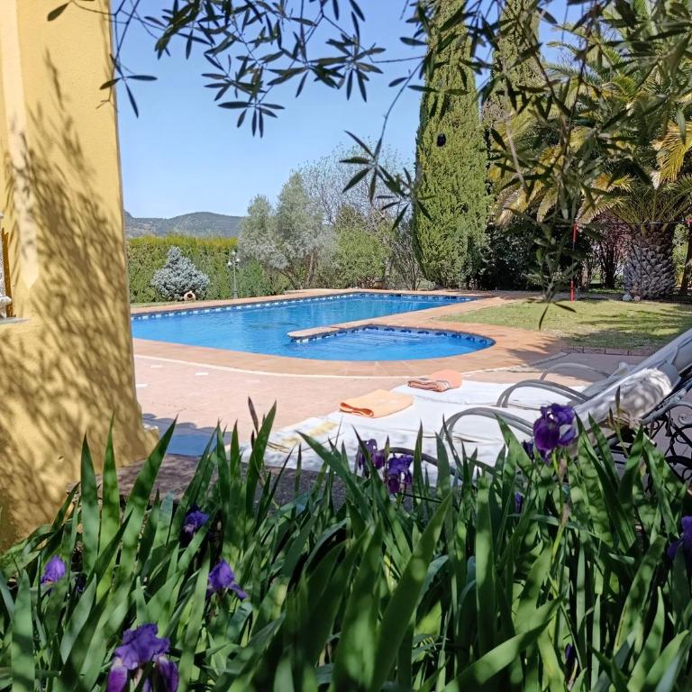 Andalusian experience - Villa Deluxe - 6