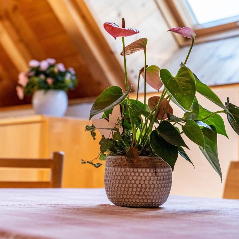 Mansardenwohnung Egart - Appartamento Deluxe con 2 Camere da Letto e Vista Giardino - 11
