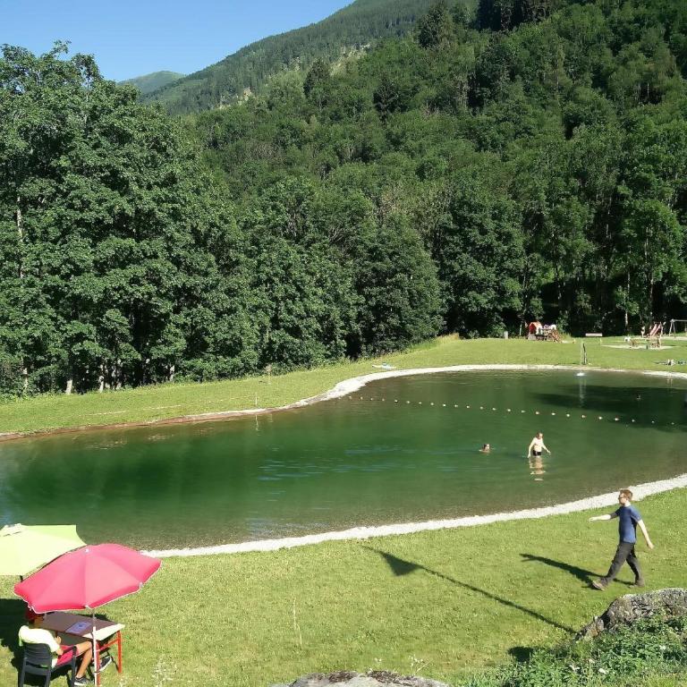 Chalet Savoiage - 13 personnes - Chalet - 31