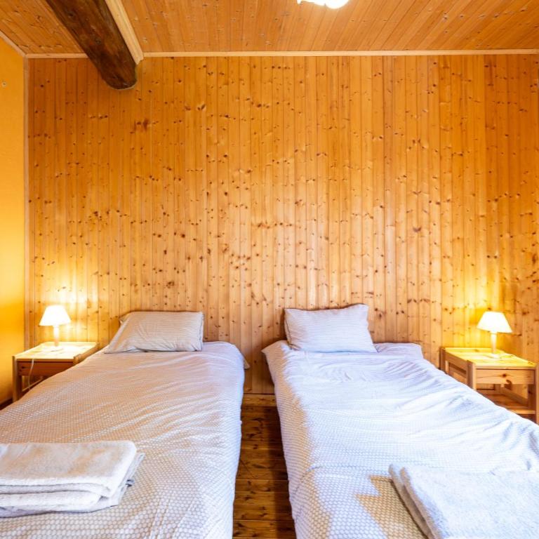 Chalet Savoiage - 13 personnes - Chalet - 14