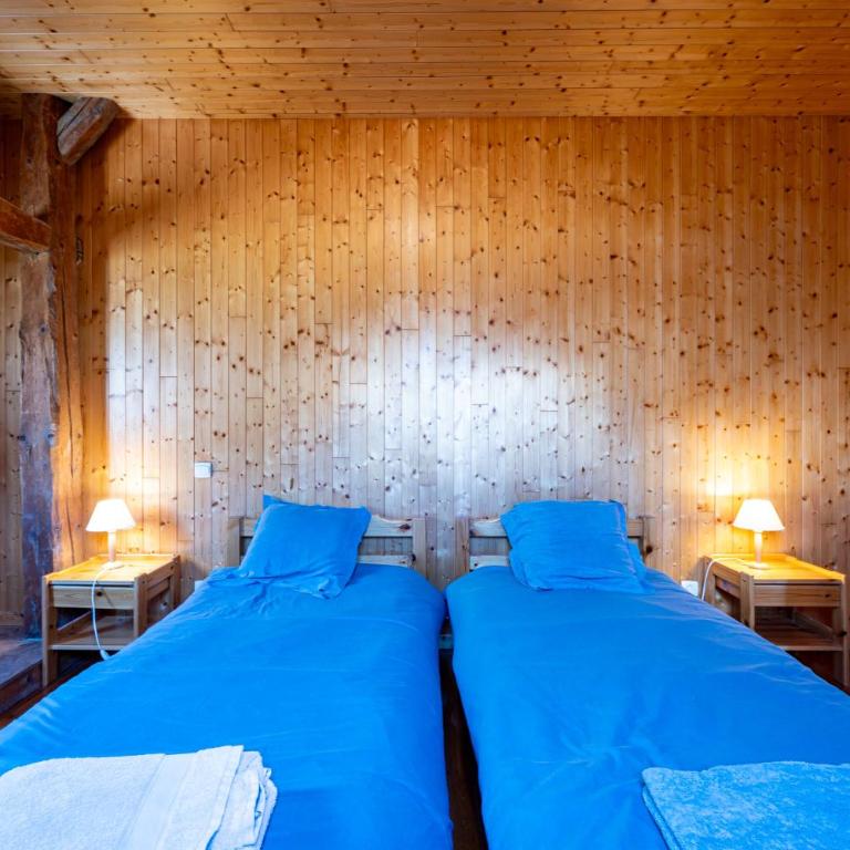 Chalet Savoiage - 13 personnes - Chalet - 19