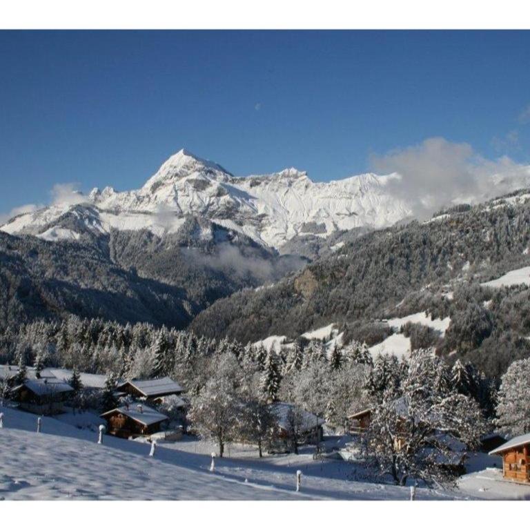 Chalet de la Marmotte - Appartement Supérieur avec Balcon - 4
